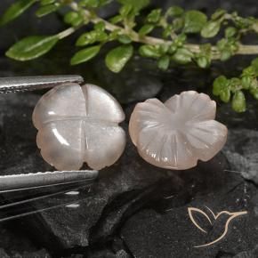 4.26 ct natürliche Sehr helles Braun Mondstein-Edelsteine, Blumen-Schliff, Lichtdurchlässig