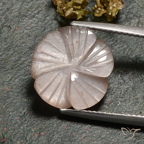 6.77ct Natürlicher Helles Karamellbraun Mondstein, Blumen-Schliff, Lichtdurchlässig