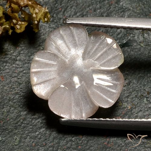 3.77ct Natürlicher Helles Karamellbraun Mondstein, Blumen-Schliff, Lichtdurchlässig