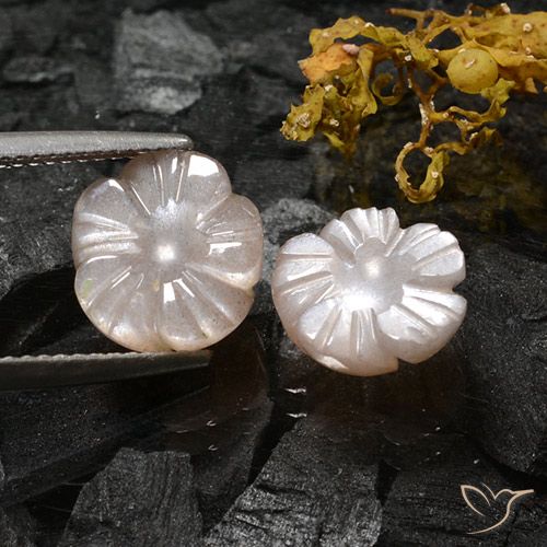 6.16ctw Natürlicher Sehr helles Braun Mondstein, Blumen-Schliff, Lichtdurchlässig