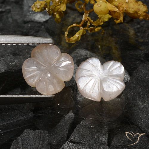 3.06ctw Natürlicher Sehr helles Braun Mondstein, Blumen-Schliff, Lichtdurchlässig