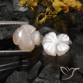 3.06 ct natürliche Sehr helles Braun Mondstein-Edelsteine, Blumen-Schliff, Lichtdurchlässig