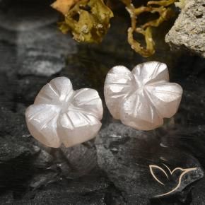 2.36 ct natürliche Sehr helles Braun Mondstein-Edelsteine, Blumen-Schliff, Lichtdurchlässig