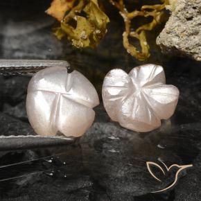 2.36 ct natürliche Sehr helles Braun Mondstein-Edelsteine, Blumen-Schliff, Lichtdurchlässig