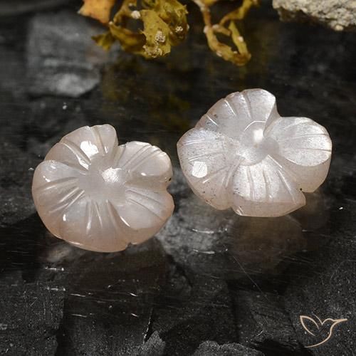 3.75 ct natürliche Helles Karamellbraun Mondstein-Edelsteine, Blumen-Schliff, Lichtdurchlässig