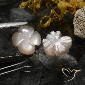 2.37 ct natürliche Helles Karamellbraun Mondstein-Edelsteine, Blumen-Schliff, Lichtdurchlässig