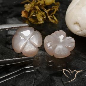 3.44 ct natürliche Helles Karamellbraun Mondstein-Edelsteine, Blumen-Schliff, Lichtdurchlässig