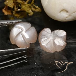 3.40 ct natürliche Sehr helles Rosa Mondstein-Edelsteine, Blumen-Schliff, Lichtdurchlässig