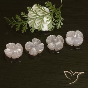 5.72 ct natürliche Sehr helles Rosa Mondstein-Edelsteine, Blumen-Schliff, Lichtdurchlässig