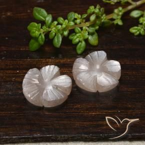 7.33 ct natürliche Sehr helles Braun Mondstein-Edelsteine, Blumen-Schliff, Lichtdurchlässig