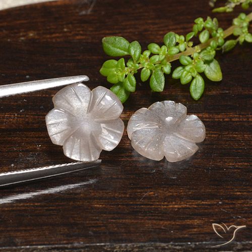 3.90ctw Natürlicher Sehr helles Braun Mondstein, Blumen-Schliff, Lichtdurchlässig