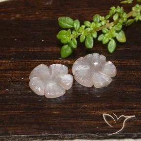 3.90 ct natürliche Sehr helles Braun Mondstein-Edelsteine, Blumen-Schliff, Lichtdurchlässig