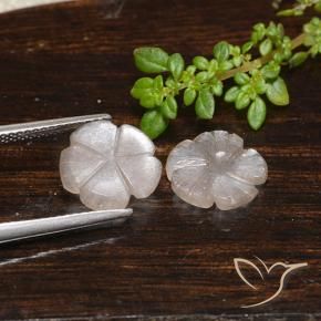 3.90 ct natürliche Sehr helles Braun Mondstein-Edelsteine, Blumen-Schliff, Lichtdurchlässig