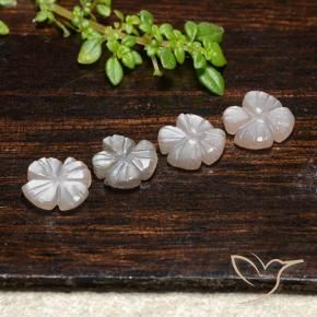 3.32 ct natürliche Sehr helles Braun Mondstein-Edelsteine, Blumen-Schliff, Lichtdurchlässig