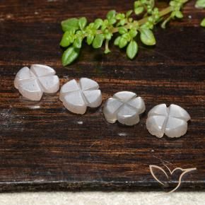 3.32 ct natürliche Sehr helles Braun Mondstein-Edelsteine, Blumen-Schliff, Lichtdurchlässig