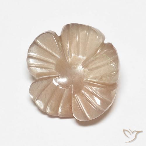 4.14ct Natürlicher Sehr helles Braun Mondstein, Blumen-Schliff, Lichtdurchlässig