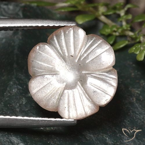 5.24ct Natürlicher Sehr helles Braun Mondstein, Blumen-Schliff, Lichtdurchlässig, Photo A