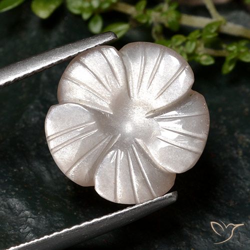 6.68ct Natürlicher Sehr helles Braun Mondstein, Blumen-Schliff, Lichtdurchlässig