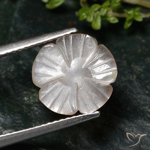 2.76ct Natürlicher Sehr helles Braun Mondstein, Blumen-Schliff, Lichtdurchlässig
