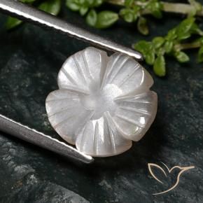 9,17 ctw natürlicher Sehr helles Braun Mondstein, Blumen-Schliff, Lichtdurchlässig