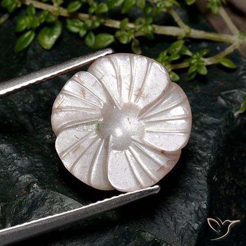 8.04ct Natürlicher Hellbraun Mondstein, Blumen-Schliff, Lichtdurchlässig