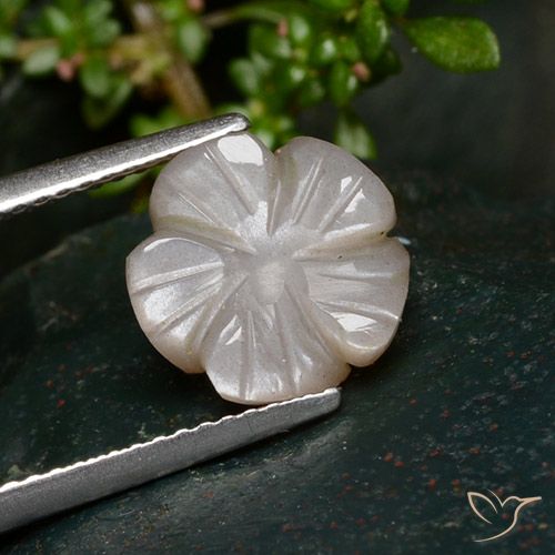 3.25ct Natürlicher Sehr helles Braun Mondstein, Blumen-Schliff, Lichtdurchlässig, Photo A