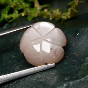 9,17 ctw natürlicher Pfirsich-orange Mondstein, Blumen-Schliff, Lichtdurchlässig