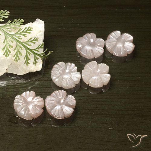 14,57 ct natürliche rosafarbener Mondstein-Edelsteine, Blumenschliff, Lichtdurchlässig