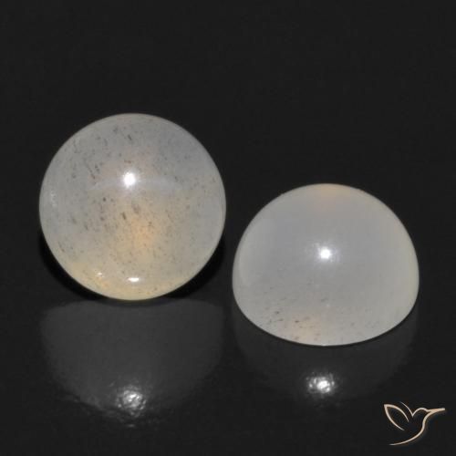 1.15 ct natürliche Helles Kaffeebraun Mondstein-Edelsteine, Runden, Lichtdurchlässig