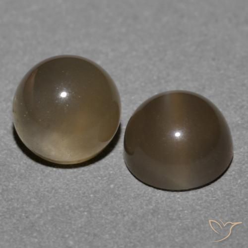 1.21 ct natürliche Mittel braun Mondstein-Edelsteine, Runden, Lichtdurchlässig