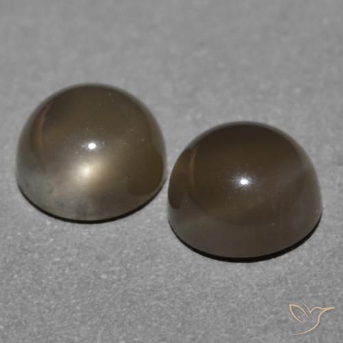 1.21 ct natürliche Mittel braun Mondstein-Edelsteine, Runden, Lichtdurchlässig