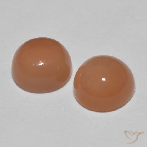 3.25 ct natürliche Apfelwein Mondstein-Edelsteine, Runden, Lichtdurchlässig