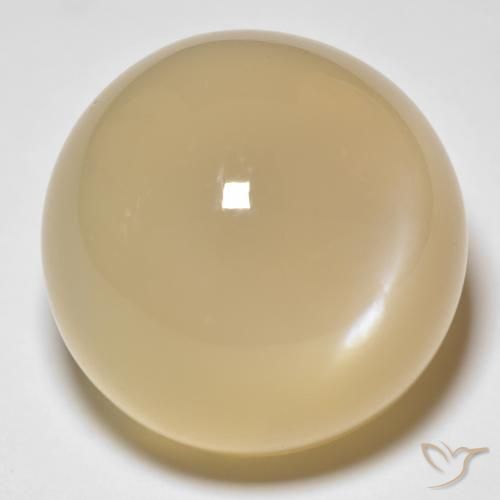 33.80ct Natürlicher Golden Mondstein, Runden, Lichtdurchlässig