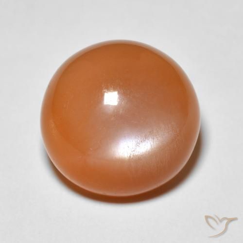 5.15ct Natürlicher Warme Aprikosenorange Mondstein, Runden, Lichtundurchlässig