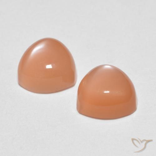 1.83 ct natürliche Cantaloupe-Orange Mondstein-Edelsteine, Trillion, Transparent
