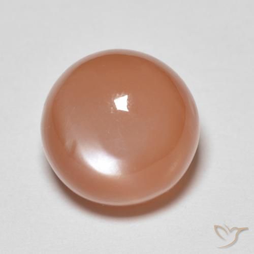 5.46ct Natürlicher Pfirsich-orange Mondstein, Runden, Lichtdurchlässig