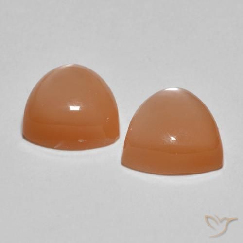 3.80 ct natürliche Cantaloupe-Orange Mondstein-Edelsteine, Trillion, Lichtdurchlässig