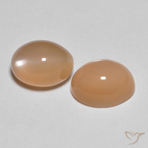 3.18 ct natürliche Pfirsich-orange Mondstein-Edelsteine, Oval, Lichtdurchlässig