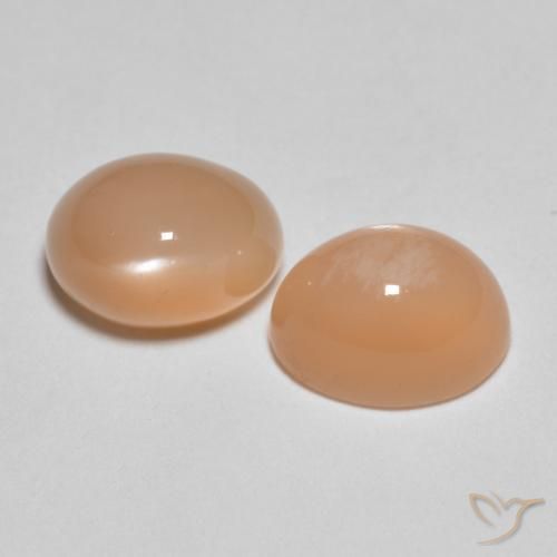 3.26 ct natürliche Cantaloupe-Orange Mondstein-Edelsteine, Oval, Lichtdurchlässig