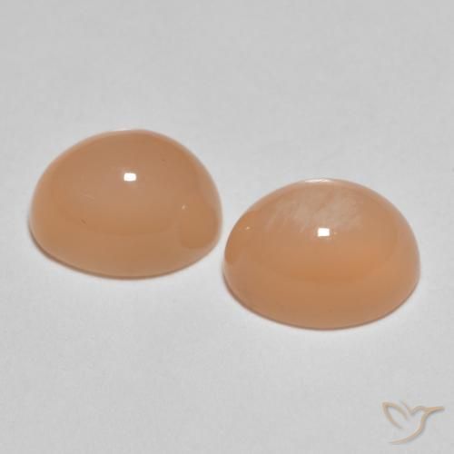 3.26 ct natürliche Cantaloupe-Orange Mondstein-Edelsteine, Oval, Lichtdurchlässig