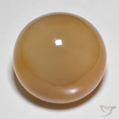 27.15ct Natürlicher hellbraun Mondstein, Runden, Lichtdurchlässig, Photo A