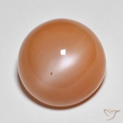 18.54ct Natürlicher Helles rötliches Orange Mondstein, Runden, Lichtdurchlässig