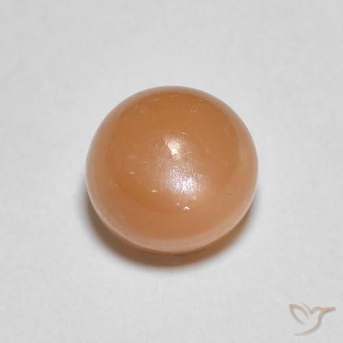 1.22ct Natürlicher Warme Aprikosenorange Mondstein, Runden, Lichtdurchlässig
