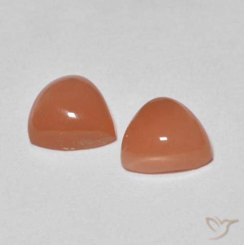 1.57 ct natürliche rötlich-orange Mondstein-Edelsteine, Trillion, Lichtdurchlässig