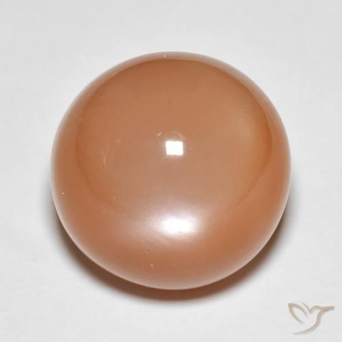 13.61ct Natürlicher Cantaloupe-Orange Mondstein, Runden, Lichtdurchlässig