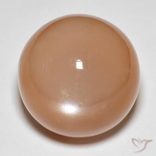 31.92ct Natürlicher Cantaloupe-Orange Mondstein, Runden, Lichtdurchlässig