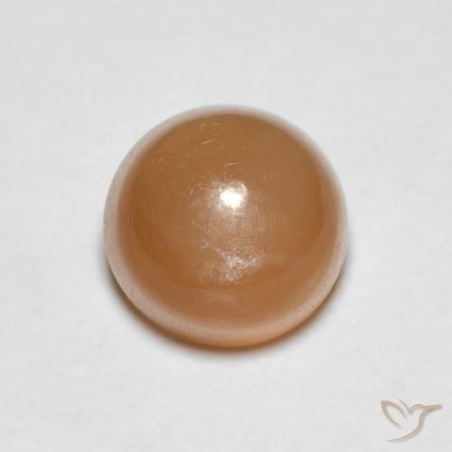 1.19ct Natürlicher Cantaloupe-Orange Mondstein, Runden, Lichtdurchlässig