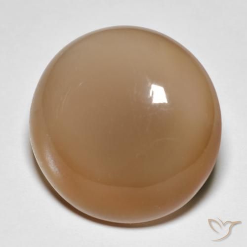 18.95ct Natürlicher Cantaloupe-Orange Mondstein, Runden, Lichtdurchlässig