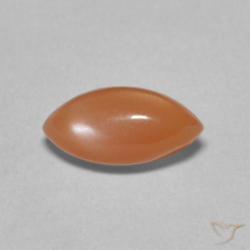1.45ct Natürlicher Pfirsich-orange Mondstein, Marquise, Lichtdurchlässig