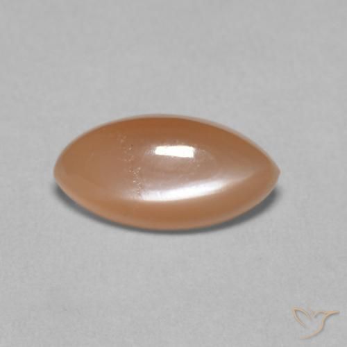1.25ct Natürlicher Blasse Cantaloupe-Orange Mondstein, Marquise, Lichtdurchlässig